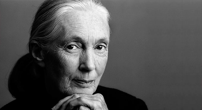 Dame Jane Goodall