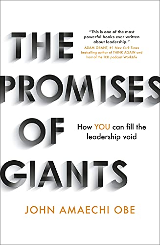 The Promises Of Giants: How You Can Fill The Leadership Void 