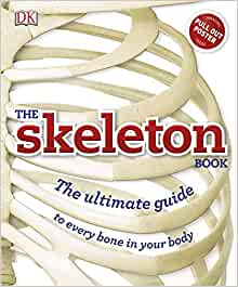 The Skeleton Book: Get to Know Your Bones, Inside Out