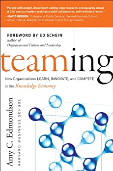 Teaming: How Organisations Learn, Innovate and Compete in the Knowledge Economy