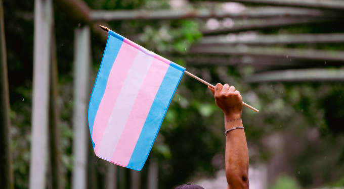 transgender_blog_post.png Transgender flag