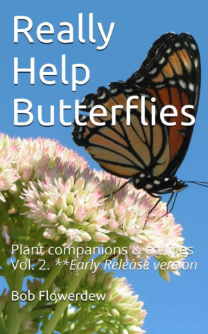 Really Help Butterflies