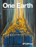 One Earth