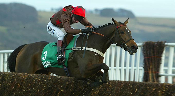 Mick Fitzgerald