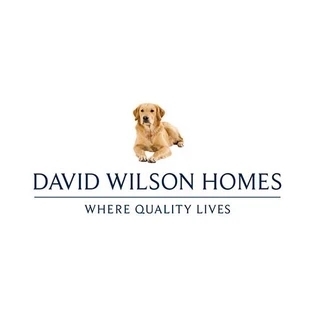 David Wilson