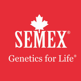 Semex UK