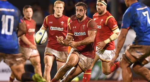 josh navidi
