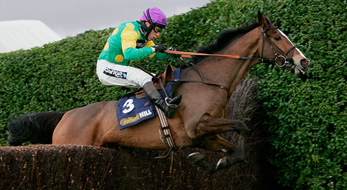 MICK FITZGERALD