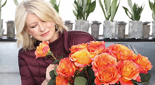 Martha Stewart