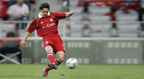 owen hargreaves