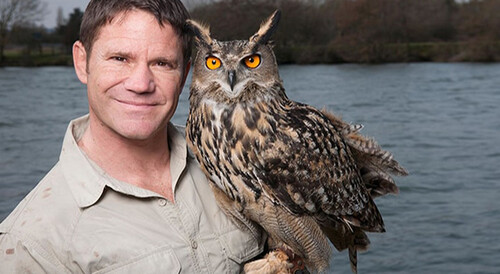 steve backshall