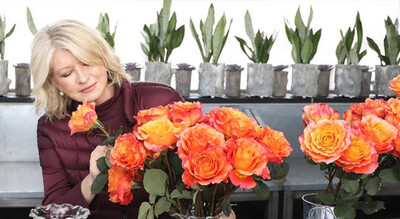 Martha Stewart