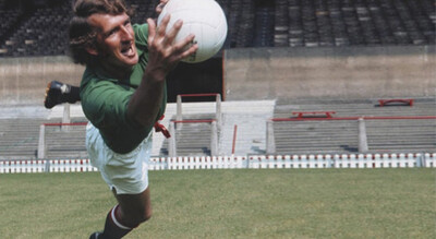 alex stepney