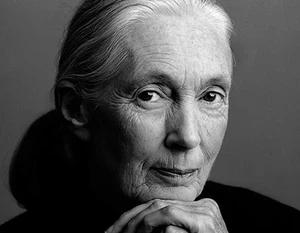 Dame Jane Goodall